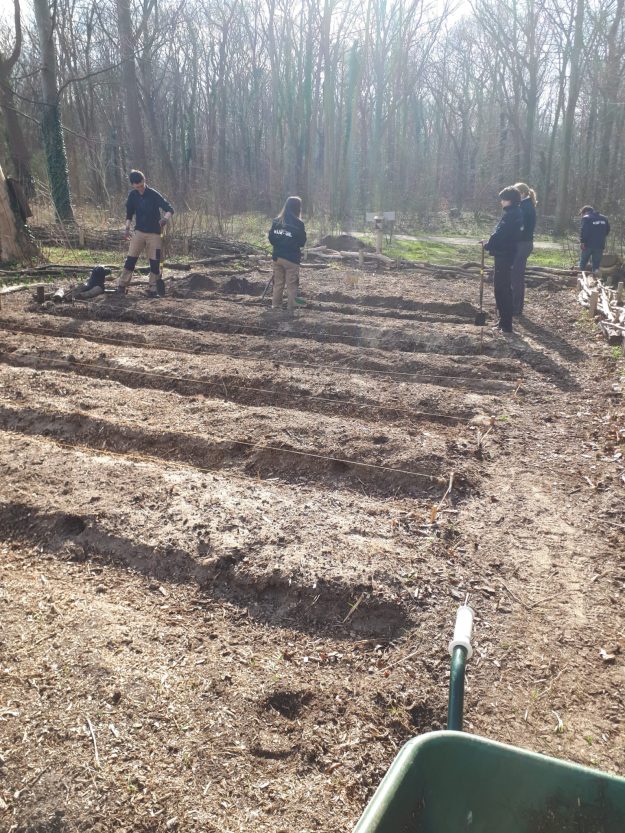 WhatsApp Image 2022-03-17 at 5.45.37 PM